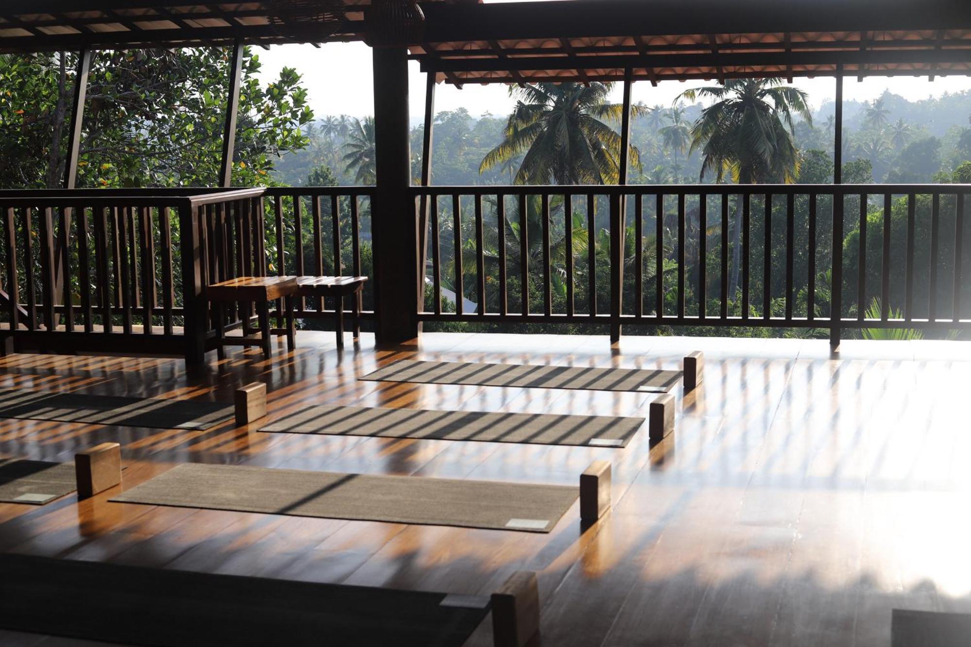 The Jungle View Hotel มิริสซา ภายนอก รูปภาพ